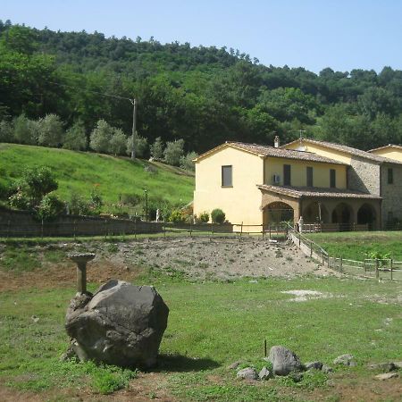 Castiglione In TeverinaAlloggio Turistico Mooneyes公寓 外观 照片