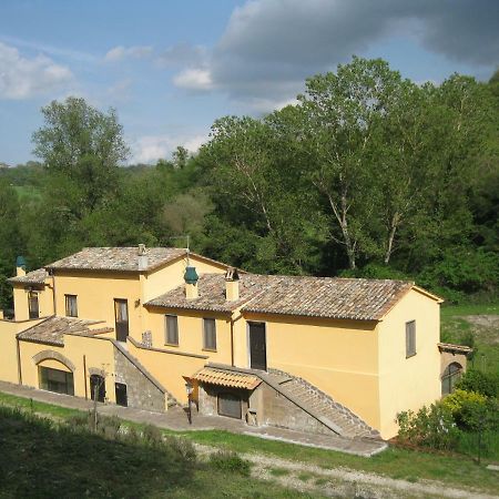 Castiglione In TeverinaAlloggio Turistico Mooneyes公寓 外观 照片
