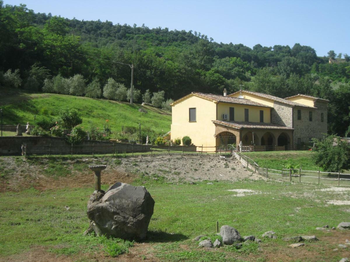 Castiglione In TeverinaAlloggio Turistico Mooneyes公寓 外观 照片
