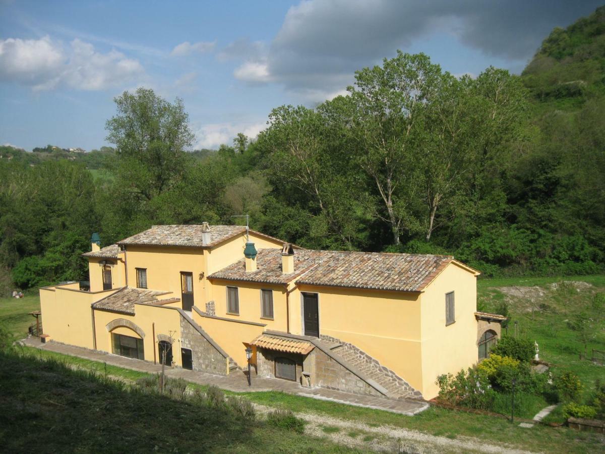Castiglione In TeverinaAlloggio Turistico Mooneyes公寓 外观 照片