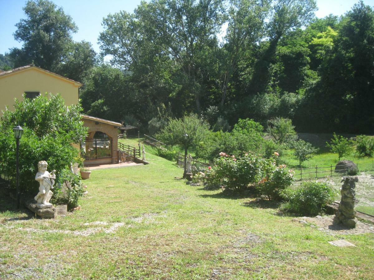 Castiglione In TeverinaAlloggio Turistico Mooneyes公寓 外观 照片