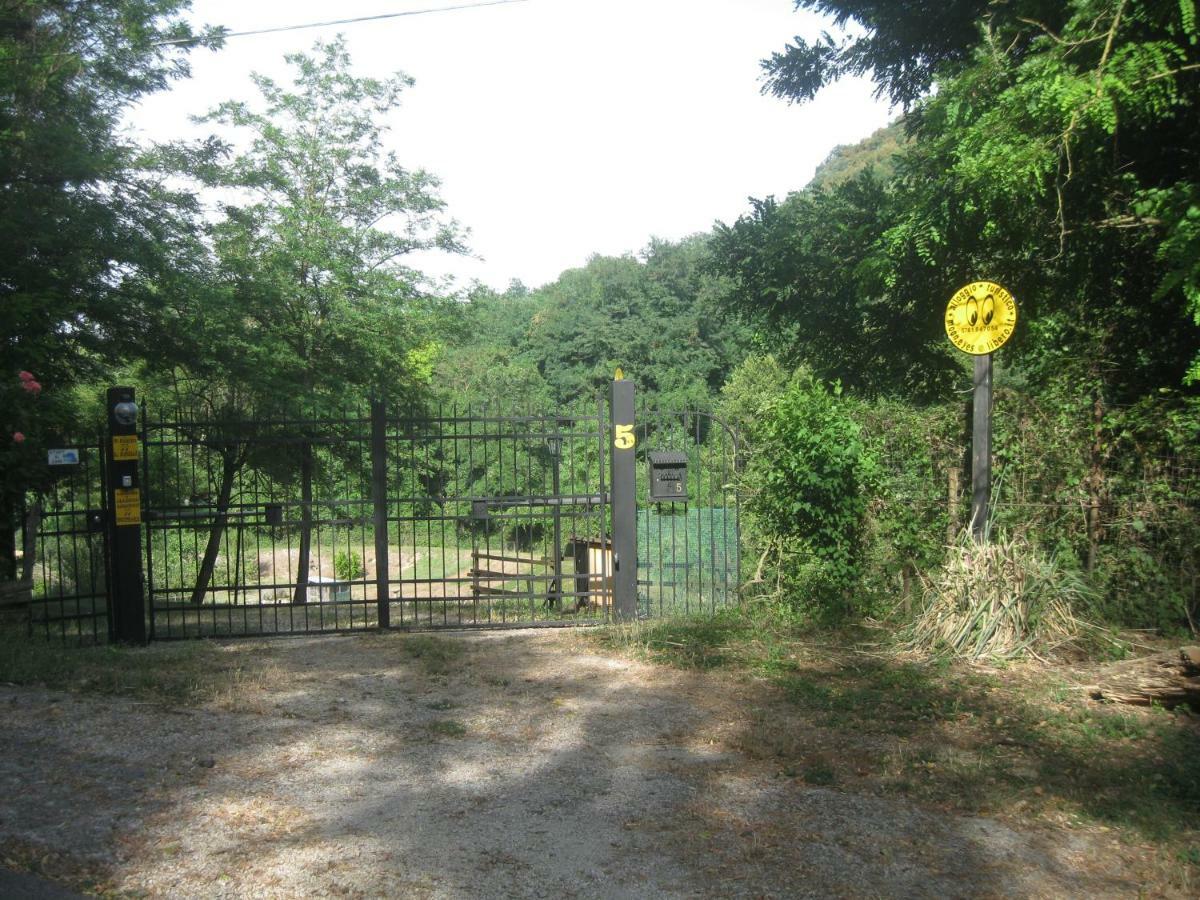 Castiglione In TeverinaAlloggio Turistico Mooneyes公寓 外观 照片